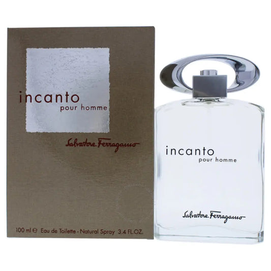 Ferragamo Incanto Pour Homme EDT 100ml